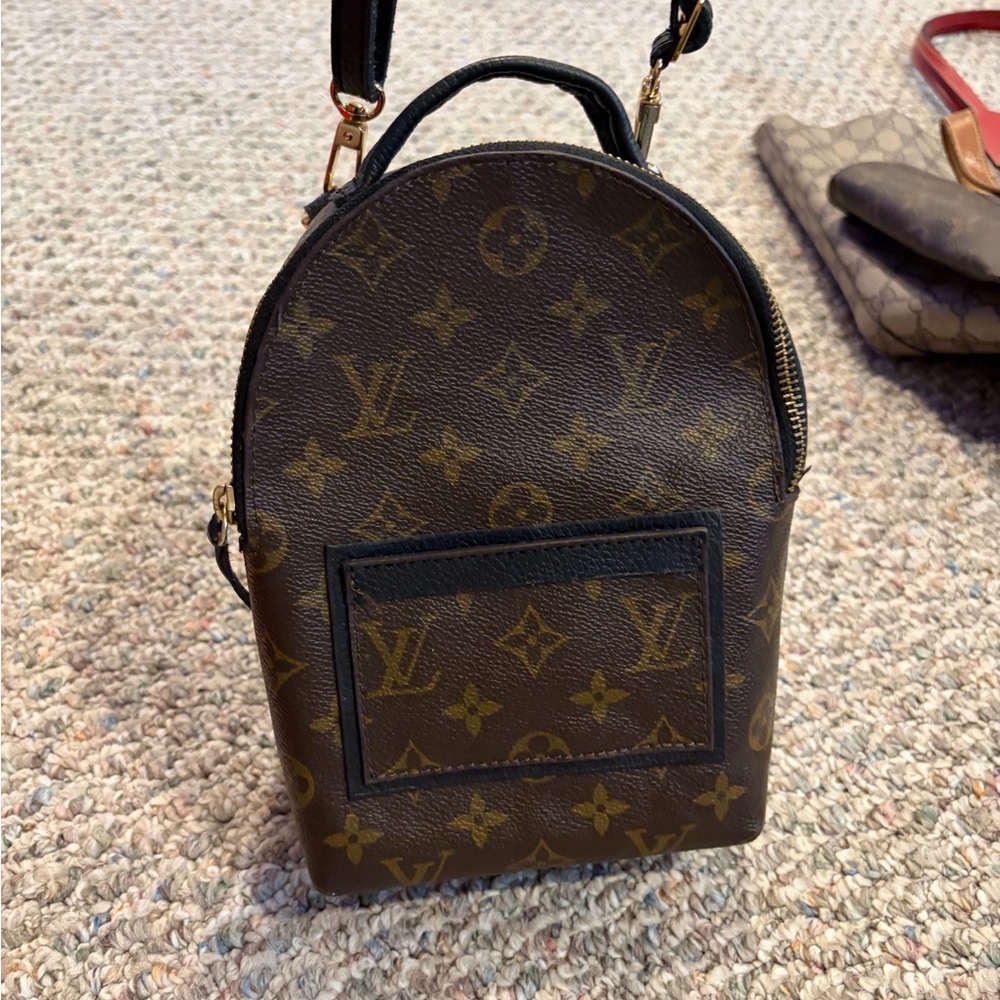 Louis Vuitton repurposed Classic Monogram Backpack
